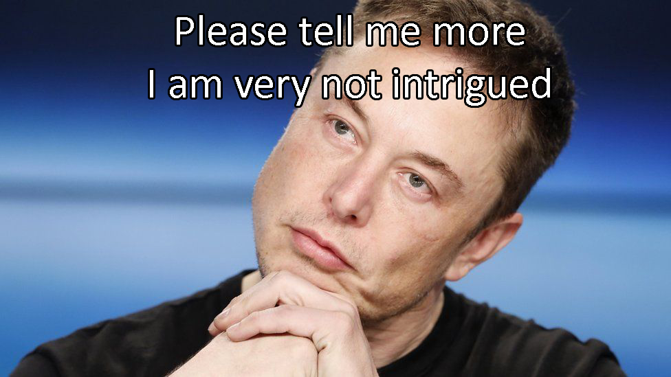 Elon_not_intrigued.png